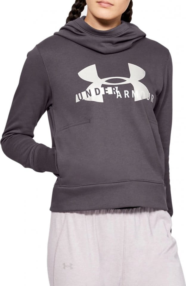 Sudadera con capucha Under Armour Cotton Fleece Sportstyle Logo hoodie-Gra