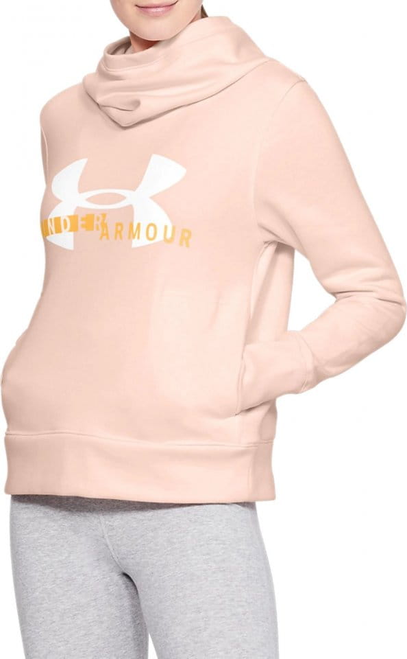 Sudadera con capucha Under Armour Cotton Fleece Sportstyle Logo hoodie