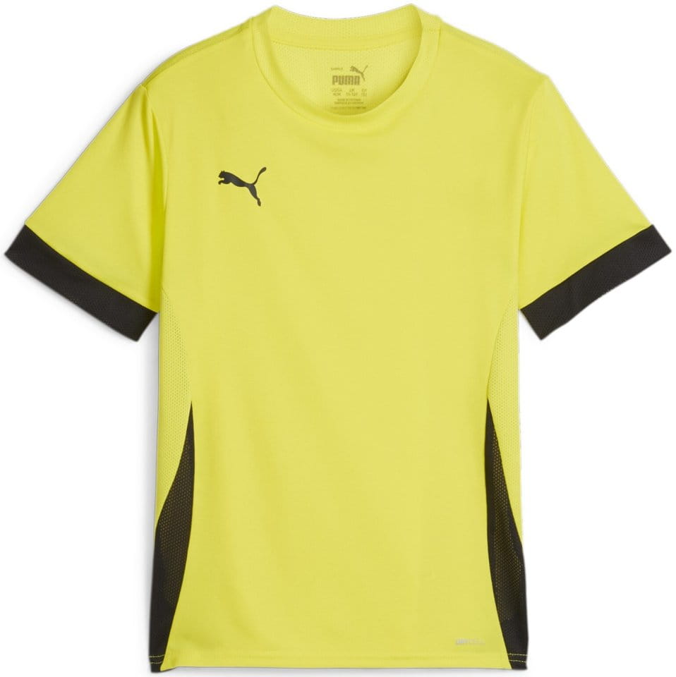Camiseta Puma teamGOAL Matchday Jersey jr