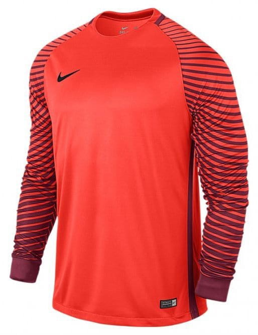 Camisa de manga larga Nike LS GARDIEN JSY