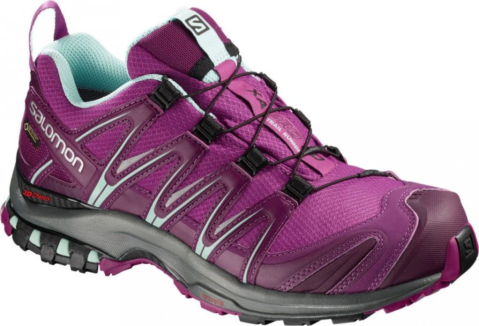 Zapatillas para trail Salomon XA PRO 3D GTX® W